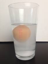 How to Make an Egg Float - What’s Going On?