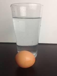 The Naked Egg Experiment - What Do I Need?