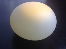 the-naked-egg-experiment_clip_image004