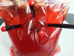 Biohazard Brain In A Bag - Experiment Like A Real Scientist!