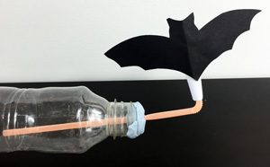 Flying Bat Rocket - Experiment Like A Real Scientist!