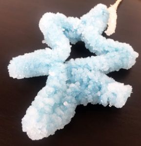 Scientific Snowflakes - Experiment Like A Real Scientist!