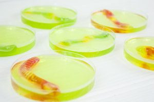 Petri Dish Science Party Food Idea