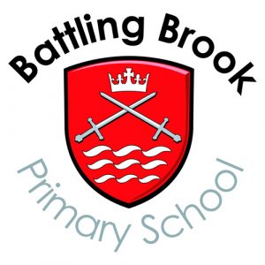 Battling Brook Primary School Science Shows
